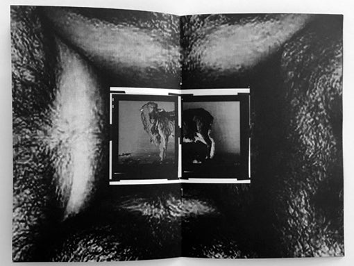 Helmut Lang 'Burry' Zine