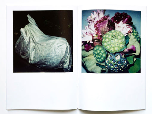 Nobuyoshi Araki Zine (Tokyo, Japan)