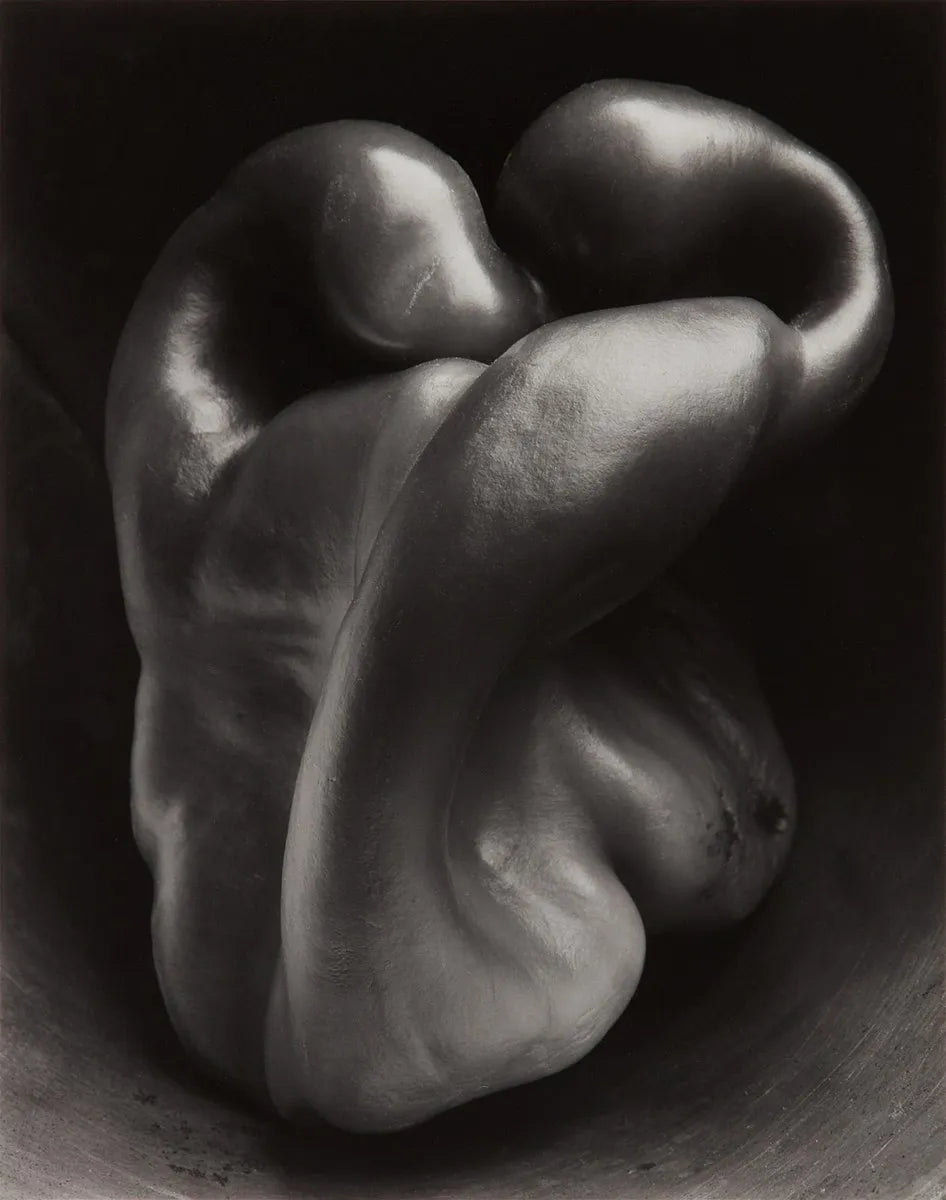 Edward Weston by Terrance Pitts (2017)