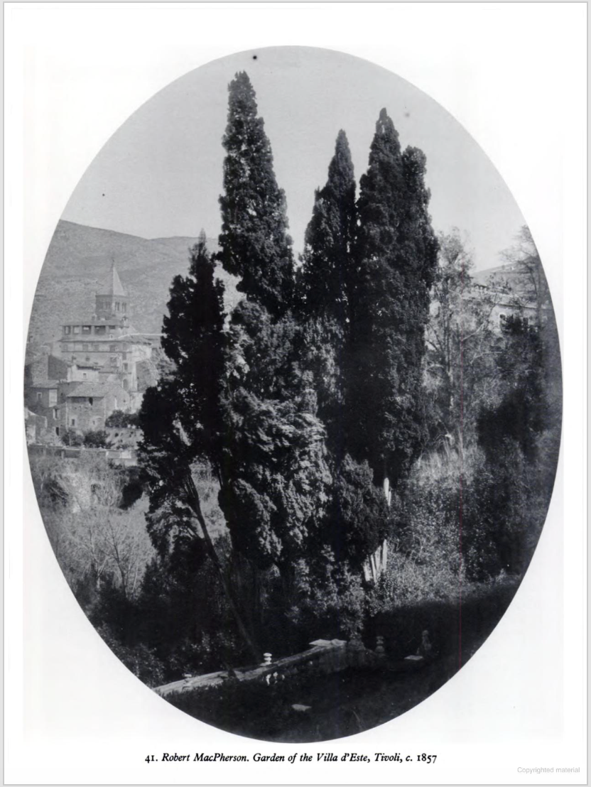 CREATIVE PHOTOGRAPHY: Aesthetic Trends 1839 To Modern Times (1988)