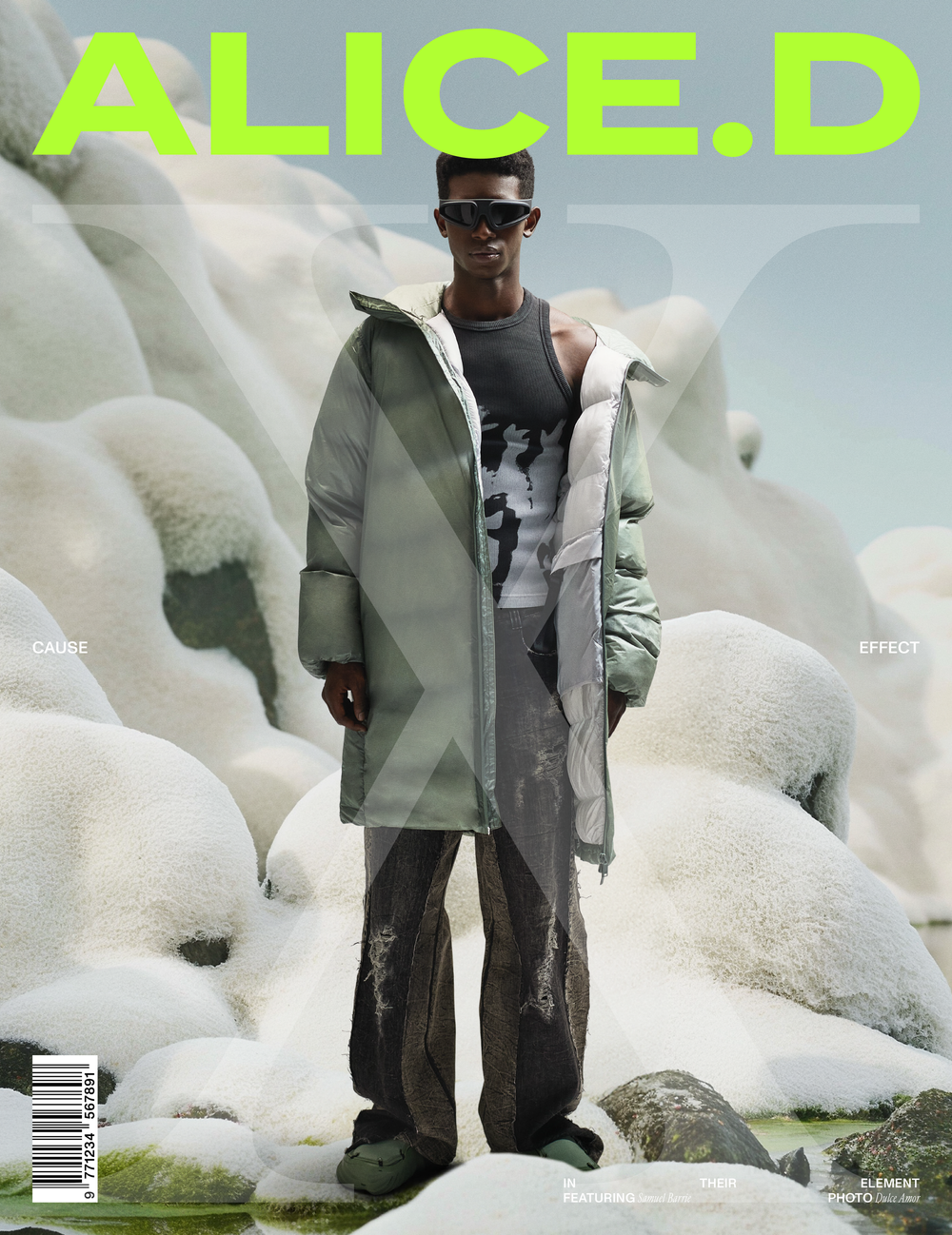 Alice.D - Issue 10 (X)