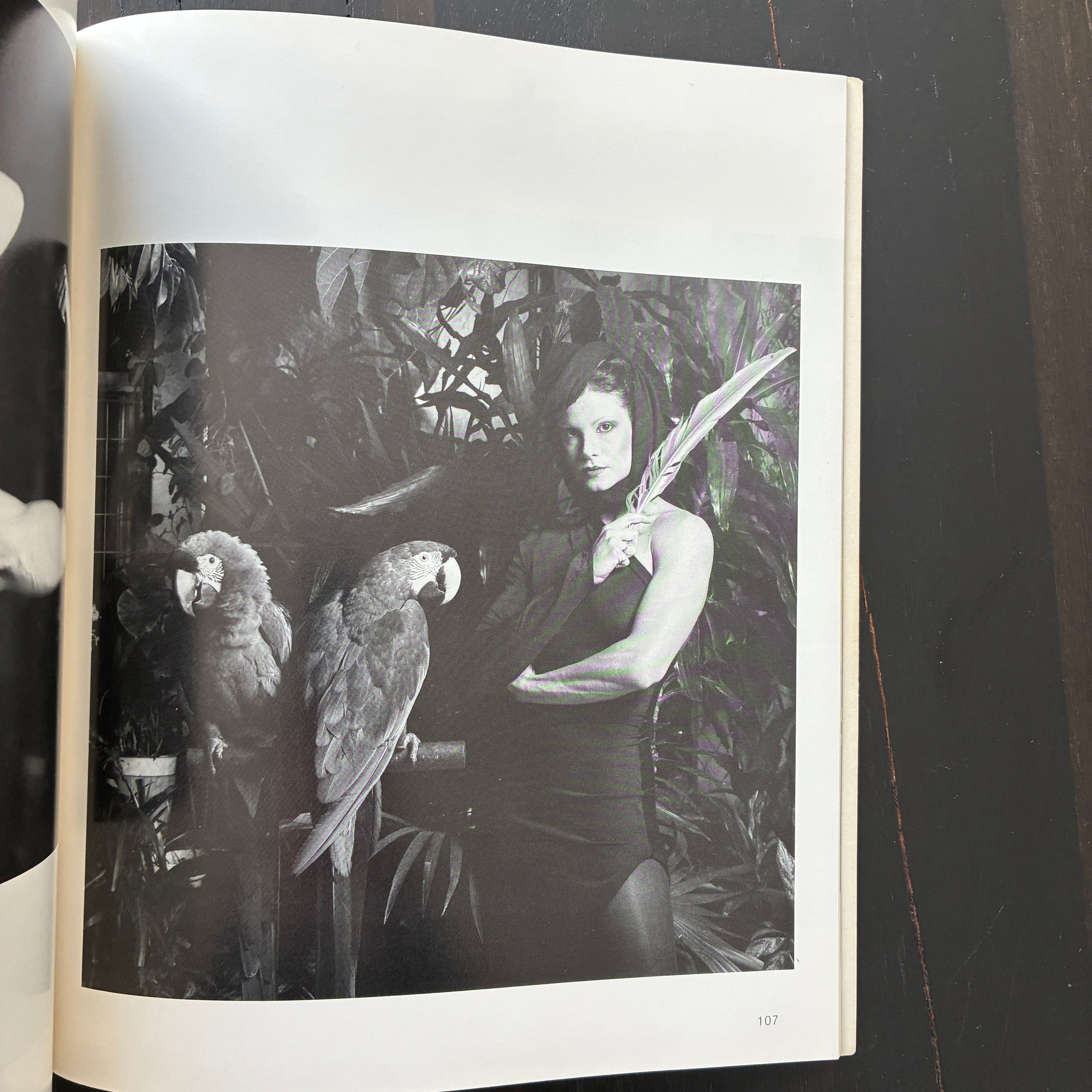 'Lady: Lisa Lyon' by Robert Mapplethorpe (1983) 1st Edition