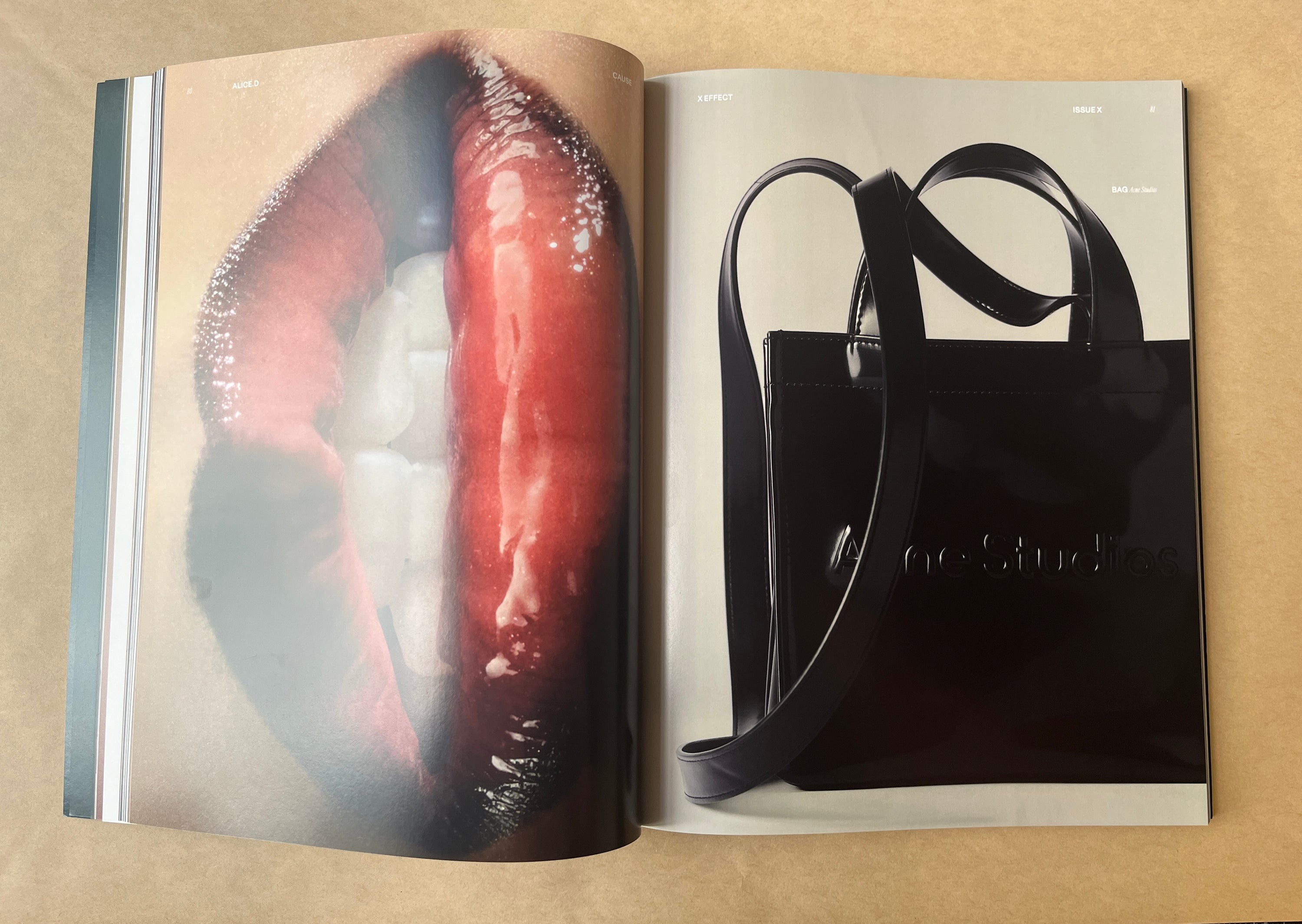 Alice.D - Issue 10 (X)