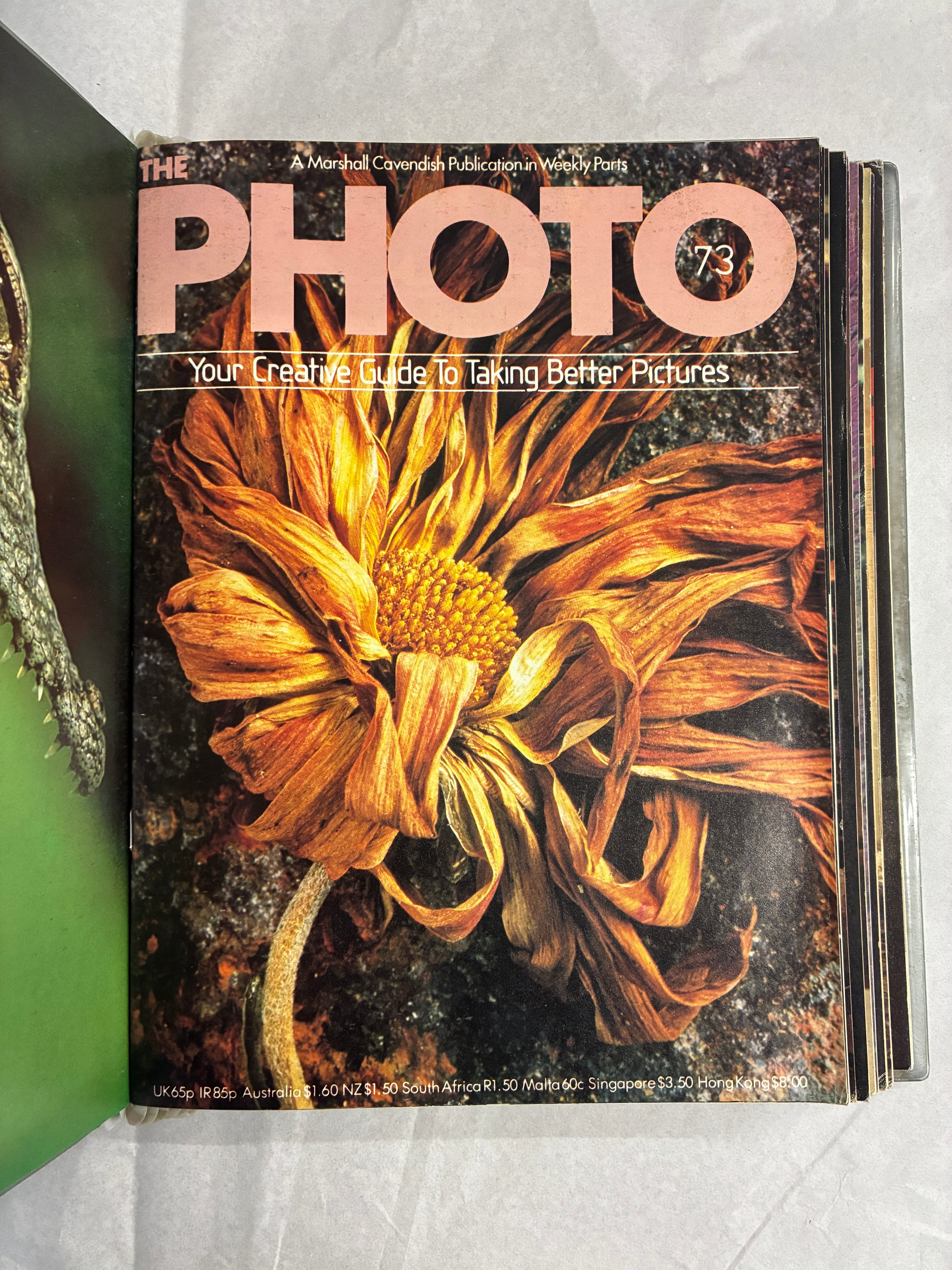 The PHOTO Volume 6 (Issues 71-84)