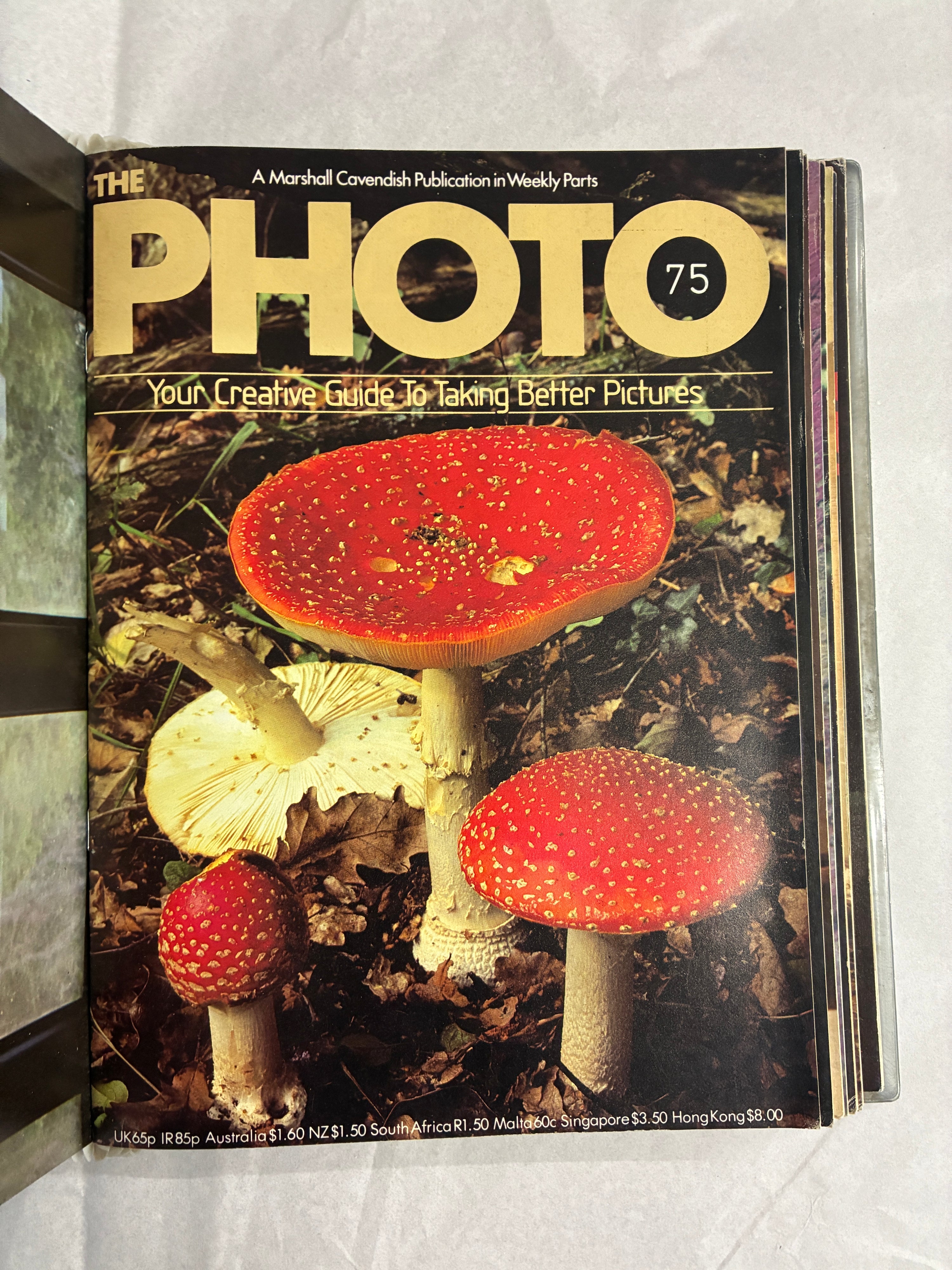 The PHOTO Volume 6 (Issues 71-84)