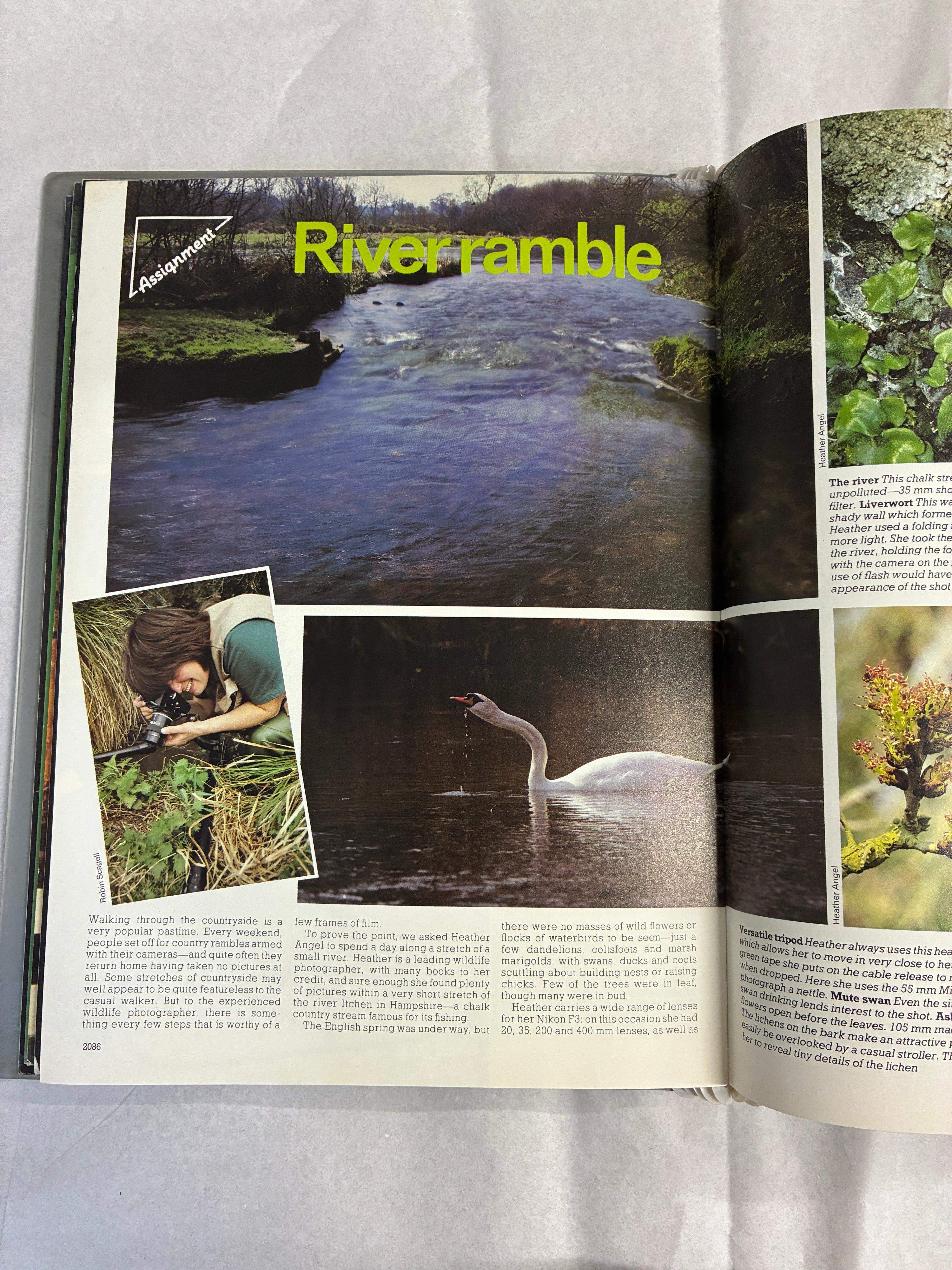 The PHOTO Volume 6 (Issues 71-84)