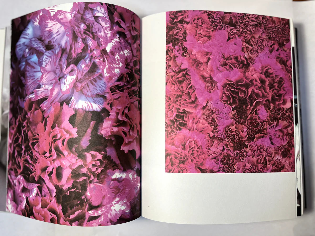 Giambattista Valli. 1st Edition (2013)