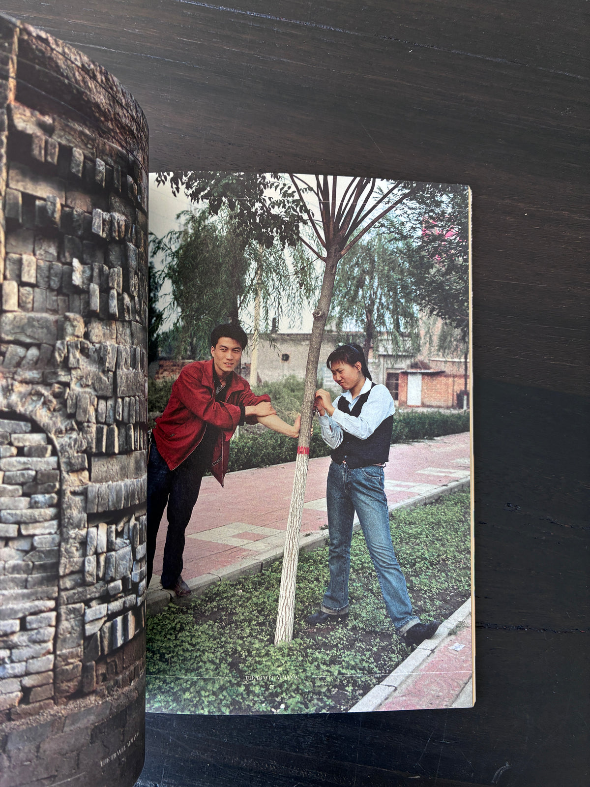 The Travel Almanac, Issue 3, Udo Kier (2012)