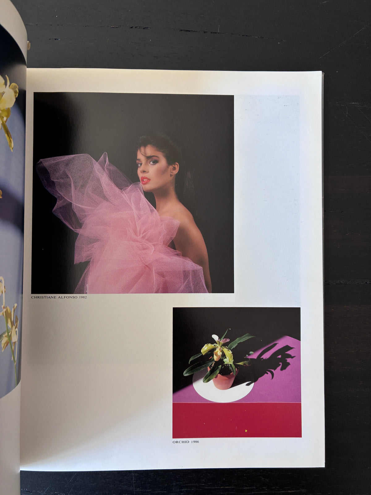Robert Mapplethorpe 'Provocative Forms of Beauty' (Japan, 1987)