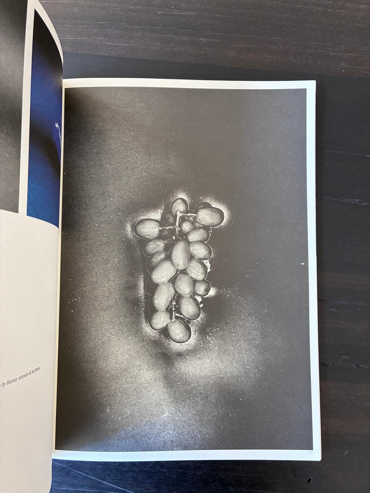 Nose Magazine, Issue 01 — Top Notes (2025)