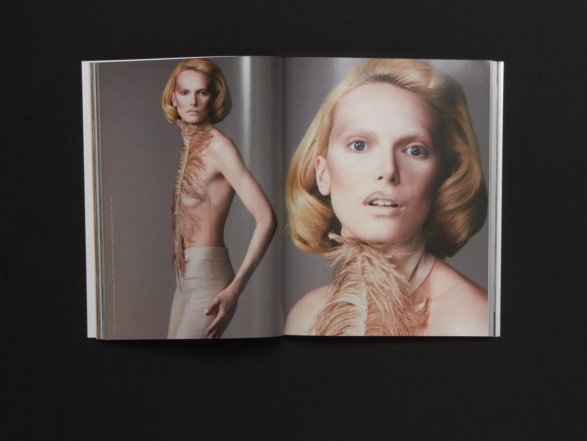 Beauty Papers - Hollywood Issue (2025)