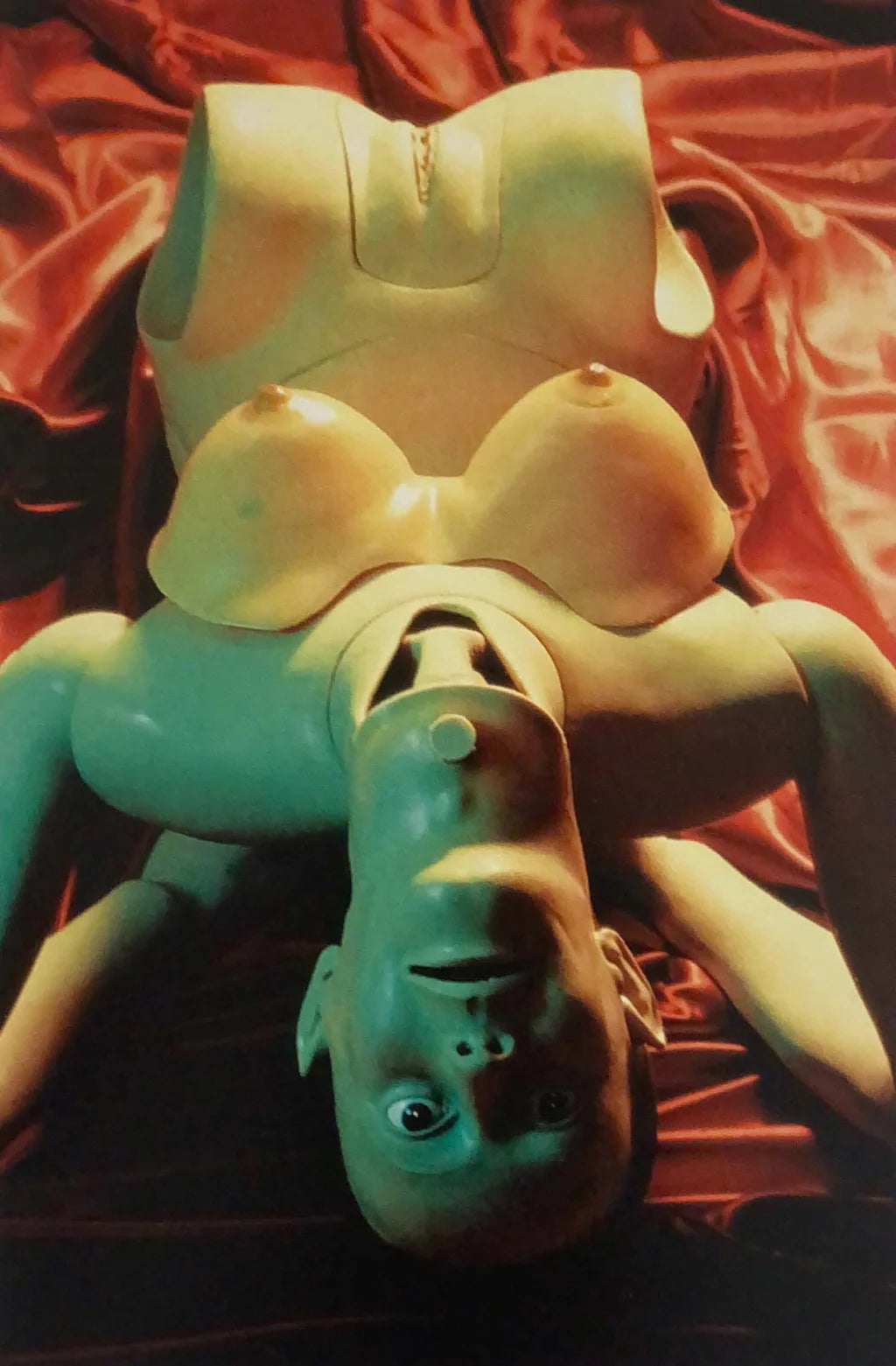 Cindy Sherman: Photographic Work, 1975-1995 (2002)