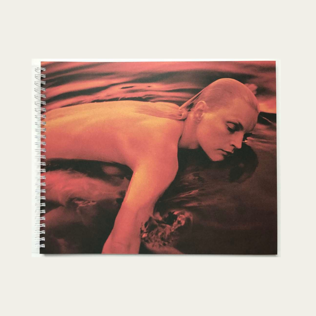 Guinevere by Drew Jarrett (2017)