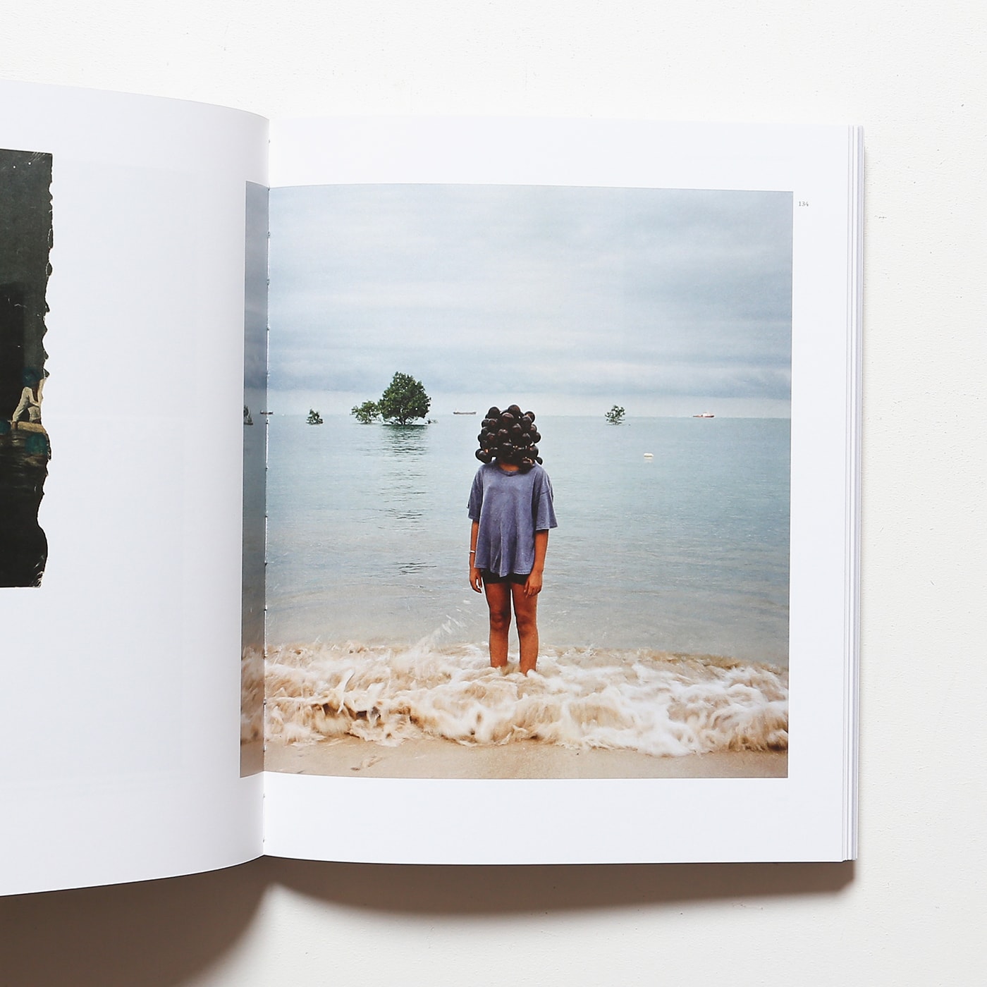 Here Art Grows On Trees by Simryn Gill